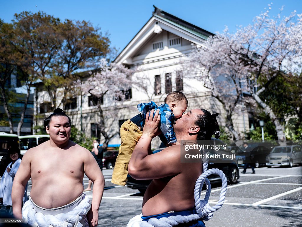 Yasukuni Shrine Ceremonial Sumo Tournament