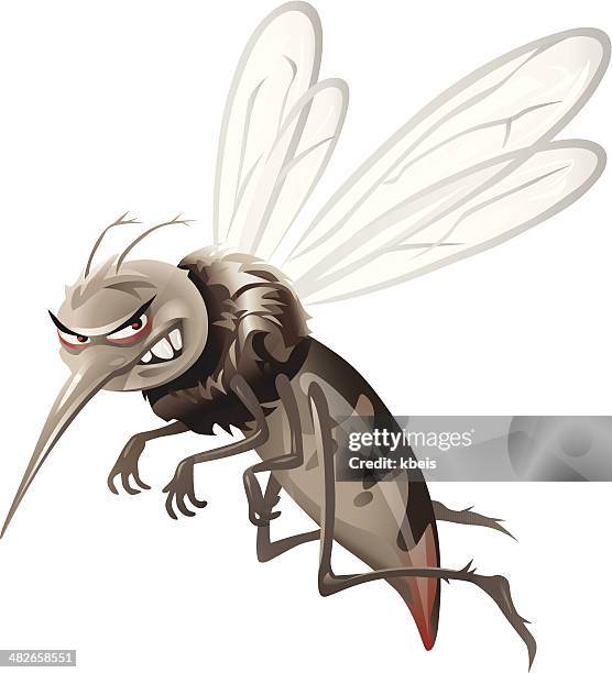 illustrazioni stock, clip art, cartoni animati e icone di tendenza di zanzara - zanzara