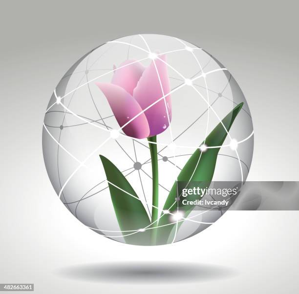 illustrations, cliparts, dessins animés et icônes de tulipe dans la boule de cristal - crystal ball