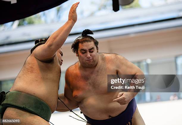 Two professional sumo wrestlers compete with each other during the Ceremonial Sumo Tournament or Honozumo at the Yasukuni Shrine on April 4, 2014 in...