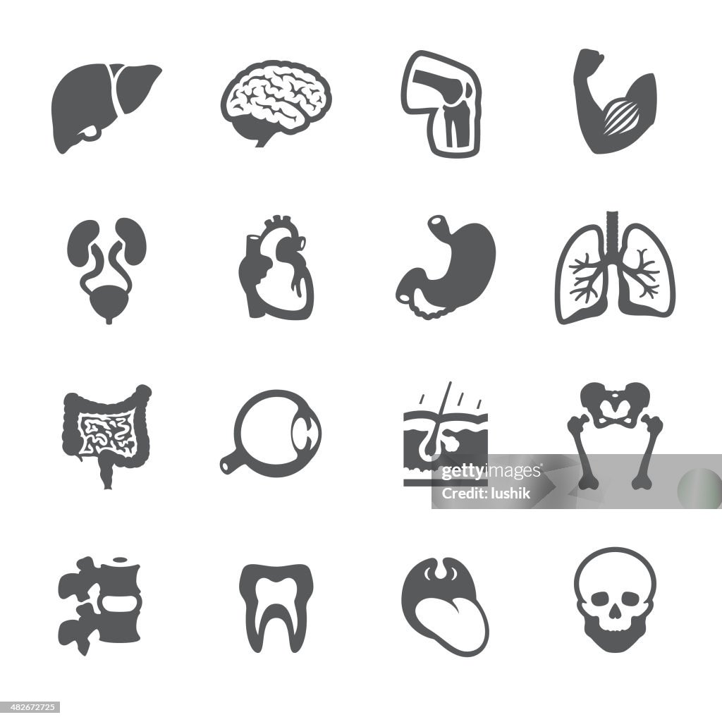 Mobico icons - The Human Body