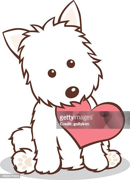 westie puppy with heart shape in mouth - west highland white terrier stock illustrations