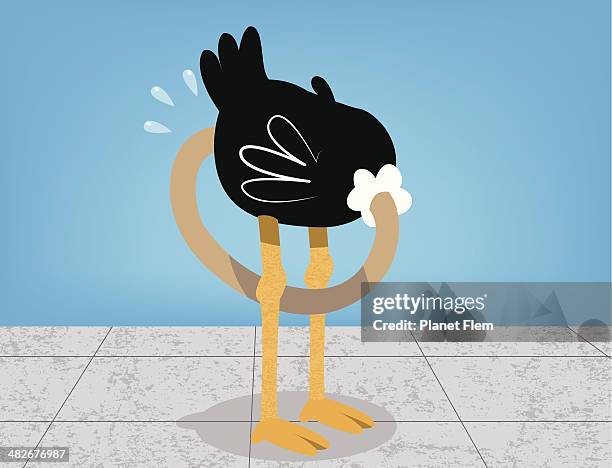 afraid ostrich on a concrete floor - embarrassed stock illustrations