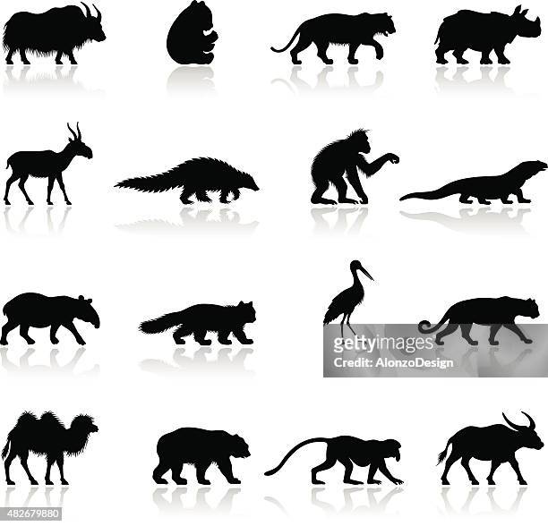 asiatische tierischen silhouetten - panda animal stock-grafiken, -clipart, -cartoons und -symbole