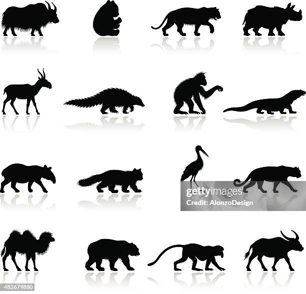 asian animal silhouettes - red panda stock illustrations