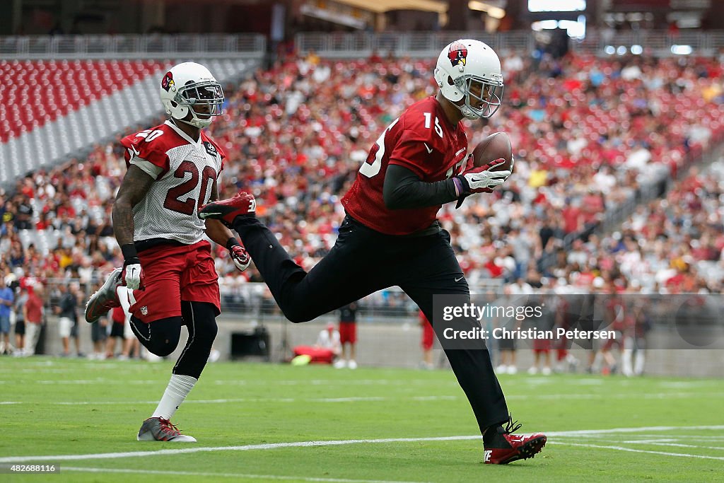 Arizona Cardinals Training Camp