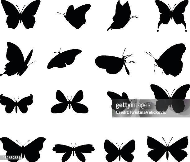 illustrazioni stock, clip art, cartoni animati e icone di tendenza di farfalle silhouette - farfalla