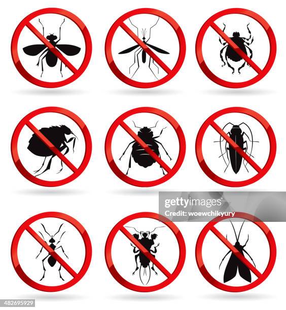 ilustraciones, imágenes clip art, dibujos animados e iconos de stock de perjudicial insectos - asesino