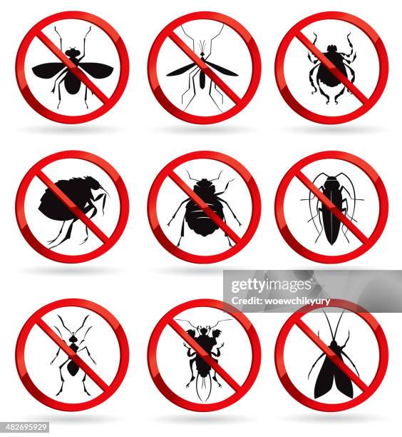 illustrazioni stock, clip art, cartoni animati e icone di tendenza di insetti nocivi - killer