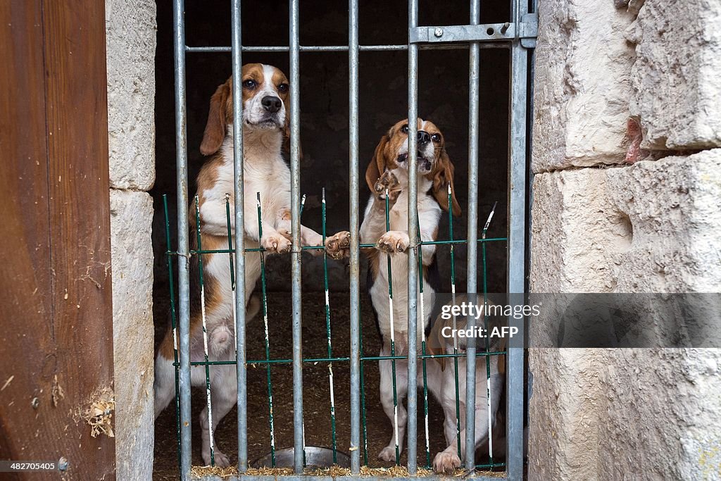 FRANCE-SOCIETY-ANIMALS