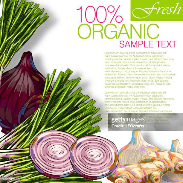 fresh onion with ginger and garlic - red onion stock illustrations