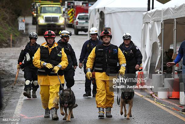 Search and rescue team with cadaver dogs prepares to search debris from a deadly mudslide on April 4, 2014 in Oso, Washington. Workers continue to...