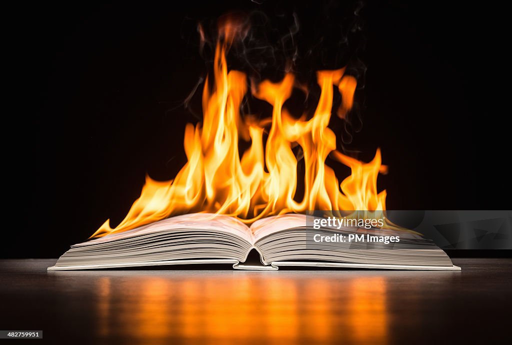 Book on Fire