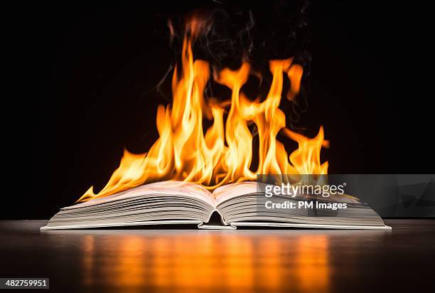book on fire - denied stock pictures, royalty-free photos & images