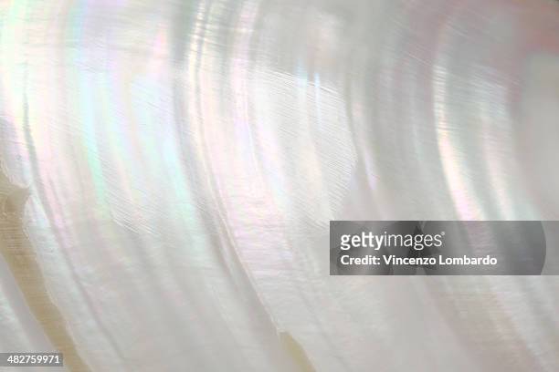 5,679 Mother Of Pearl Photos and Premium High Res Pictures - Getty Images