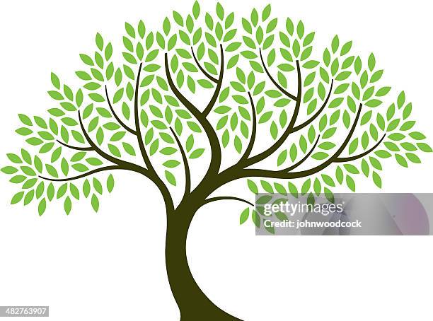 vector illustration of tree on white background - branch plant part stock illustrations