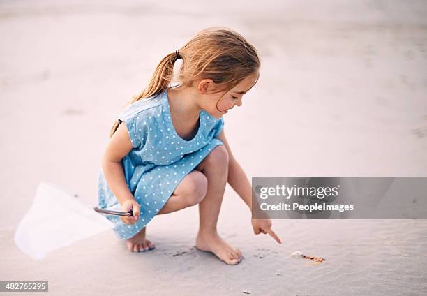 the curiosity of kids - shell point beach stock pictures, royalty-free photos & images