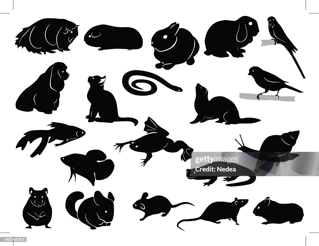 Domestic animals silhouettes