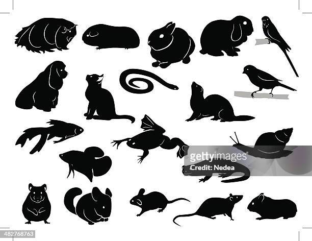 bildbanksillustrationer, clip art samt tecknat material och ikoner med domestic animals silhouettes - råtta