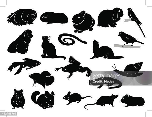 domestic animals silhouettes - rabbit guinea pig stock illustrations