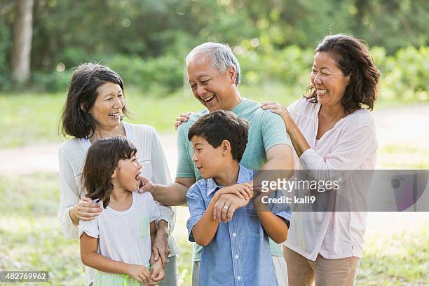 multi-generation asian family in the park - extended family outdoors spring stock pictures, royalty-free photos & images