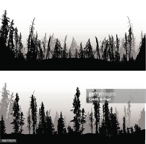 mountain pine forest - burnt stock illustrations