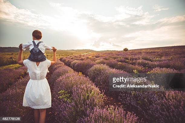piggyback ride at the lavender field - piggyback stock pictures, royalty-free photos & images