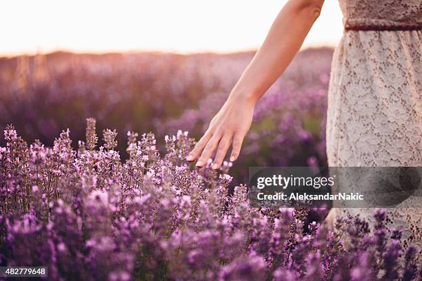 contacto la naturaleza - flower arm fotografías e imágenes de stock