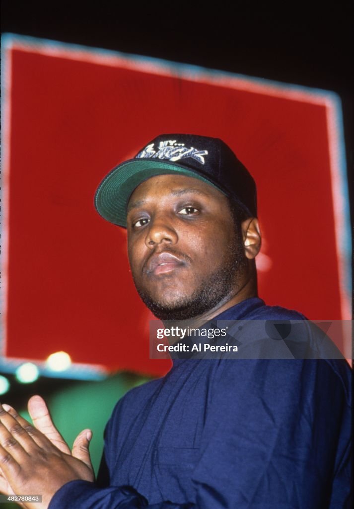 Mc Ren Rapper MC Ren poses for a portrait on October 1992 in New York, New