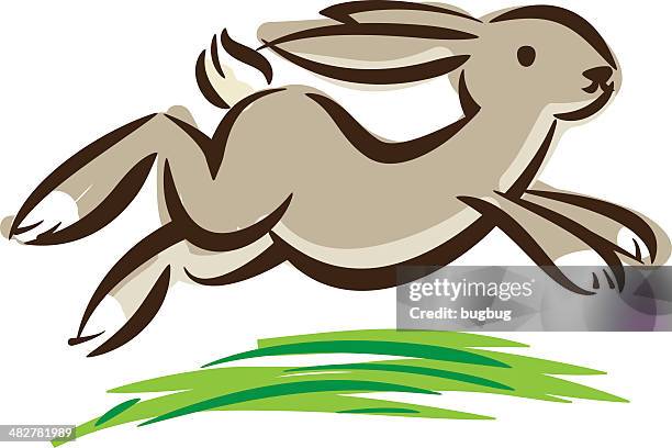 rabbit - rabbit jump stock illustrations