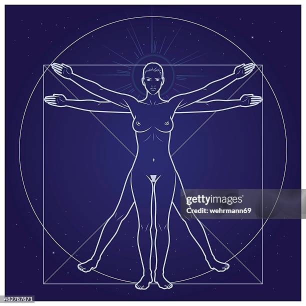 ilustraciones, imágenes clip art, dibujos animados e iconos de stock de mujer de davinci - perfect female body shape