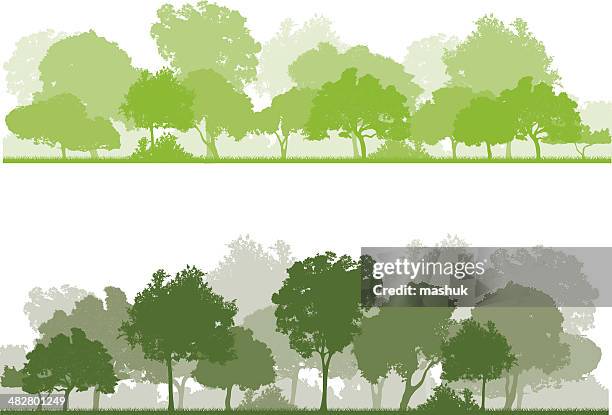 frühling-wald - baum stock-grafiken, -clipart, -cartoons und -symbole