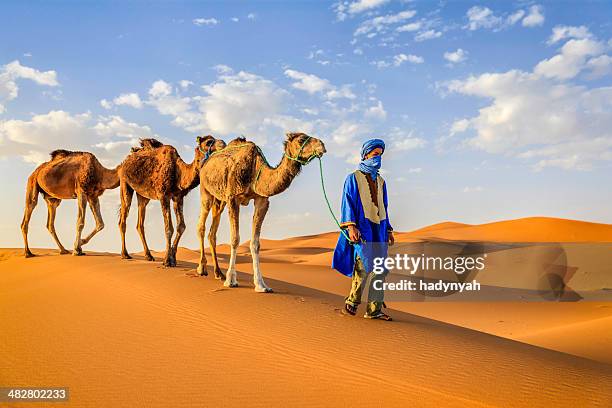 young tuareg with camels on western sahara desert in africa - morocco stockfoto's en -beelden