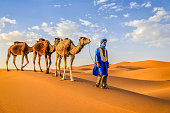 Young Tuareg with camels on Western Sahara Desert in Africa