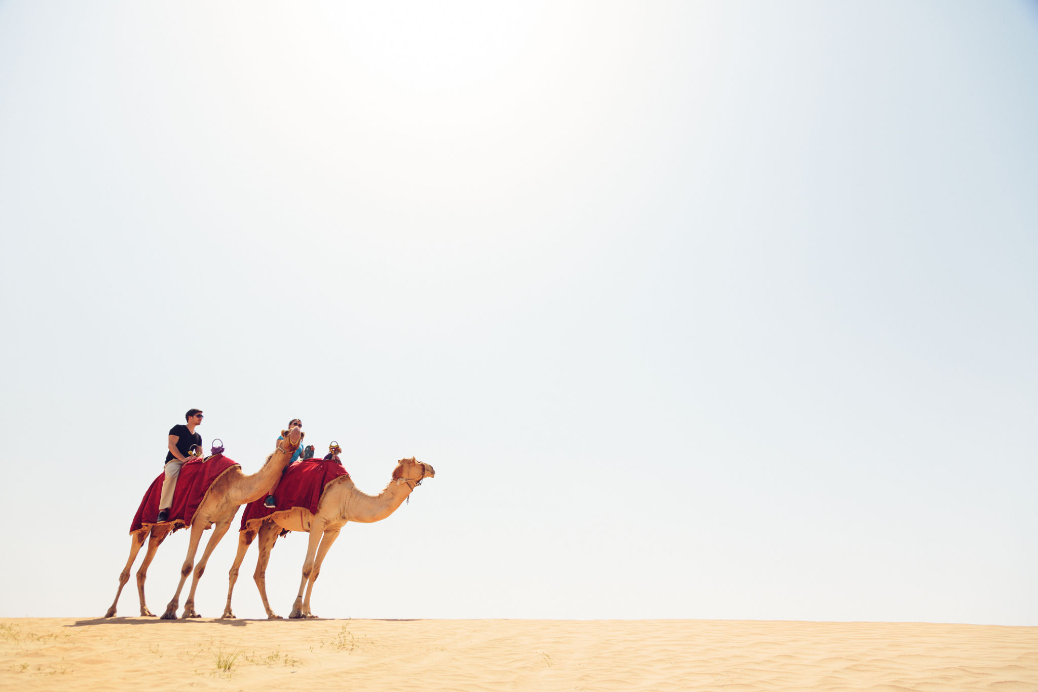 camel ride desert