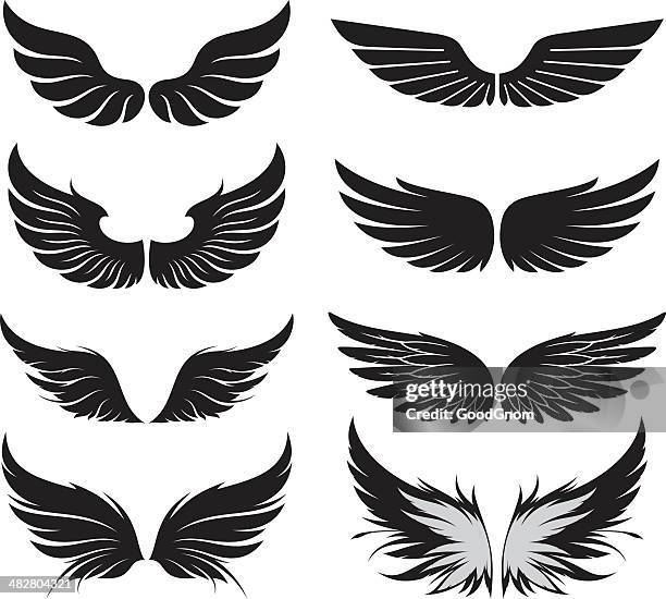 ilustrações de stock, clip art, desenhos animados e ícones de conjunto de asas - membro