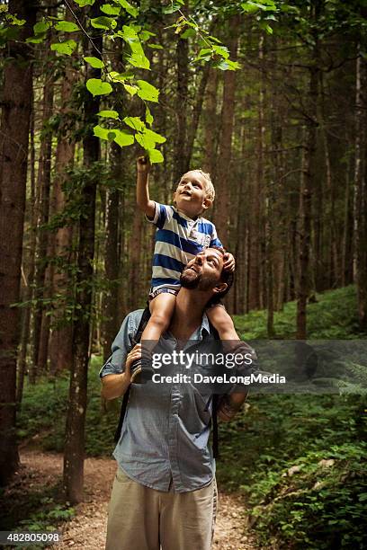 father and son exploring nature - carrying on shoulders stock pictures, royalty-free photos & images