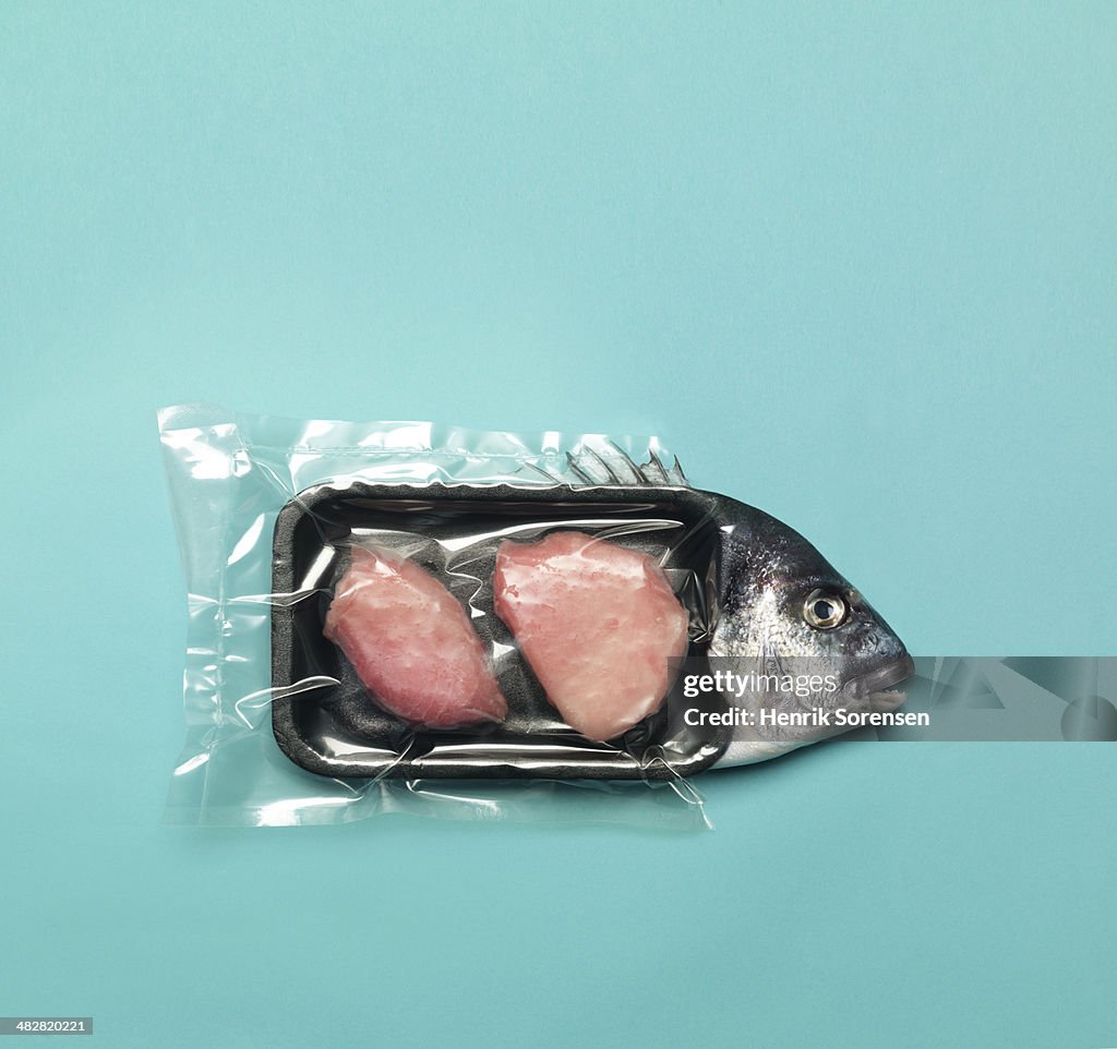 Combination of packed chicken and a fish