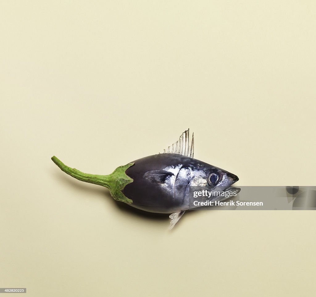 Combination of a fish and a aubergine