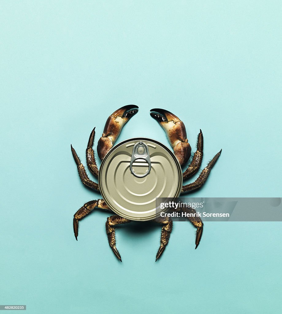 Combination of a can and a crab