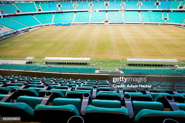 1 742 Estadio Fonte Nova Stadium Stock Photos, High-Res Pictures, and ...