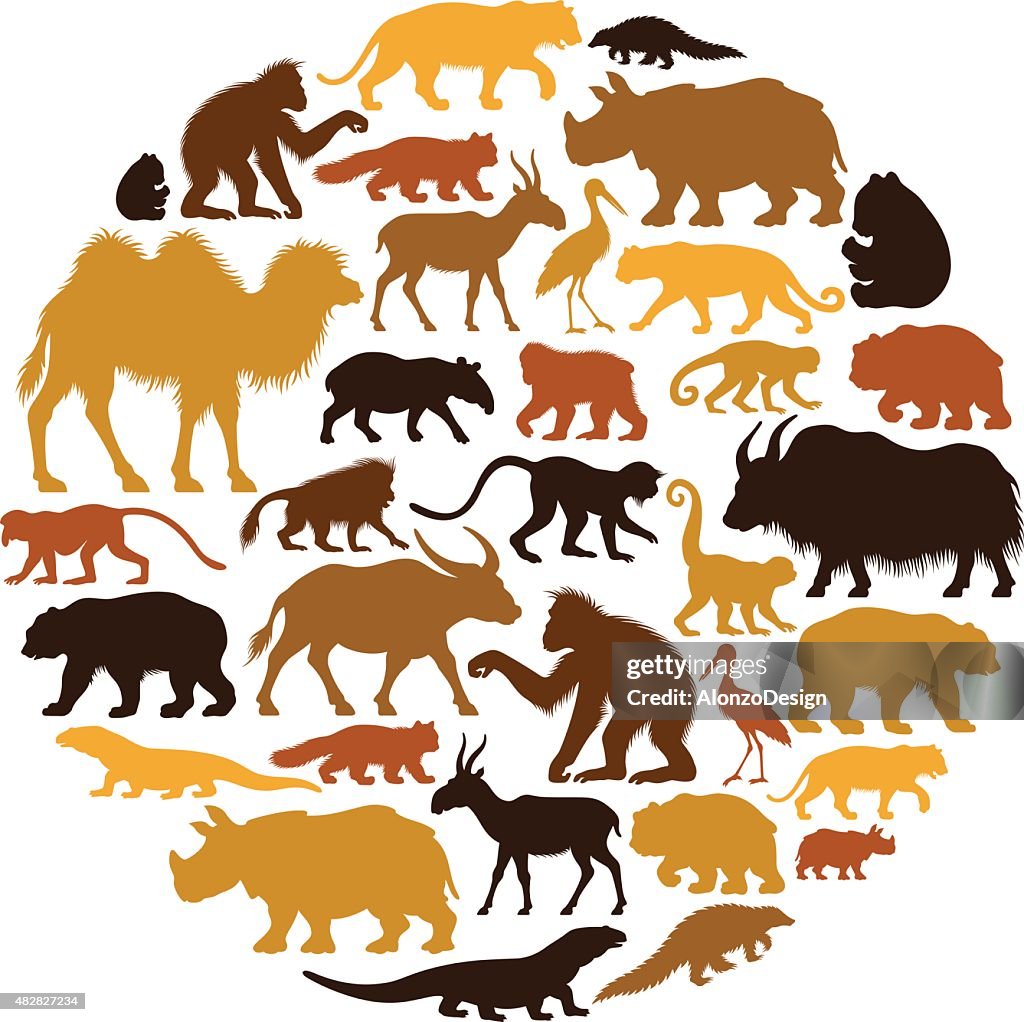 Asian Animals Collage