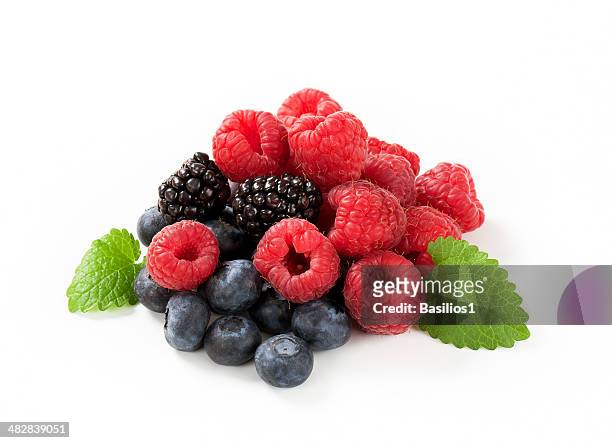 frutas del bosque - blackberry fotografías e imágenes de stock