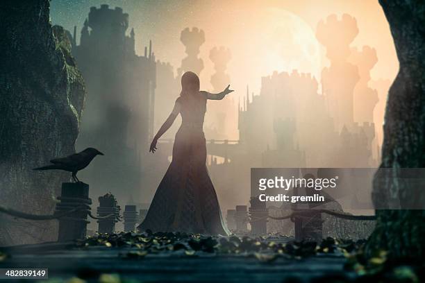 princesse de conte de fées debout en face de l'ancien château de nuit - fantasy female photos et images de collection