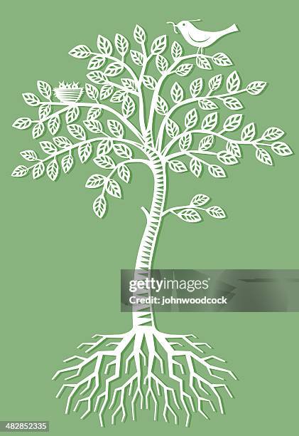 Root Craft Photos and Premium High Res Pictures - Getty Images