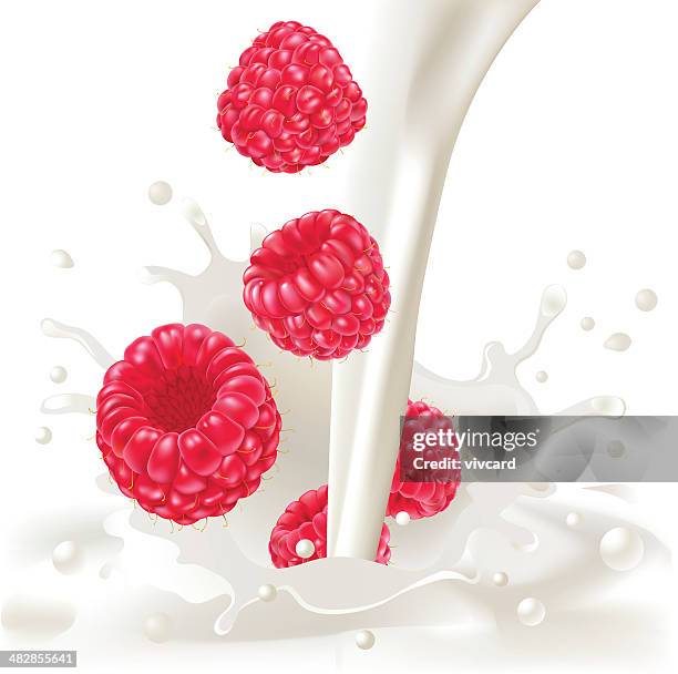 ilustraciones, imágenes clip art, dibujos animados e iconos de stock de raspberries & crema - frambuesas