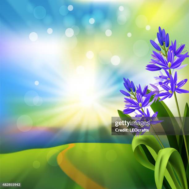 spring background - camas stock illustrations