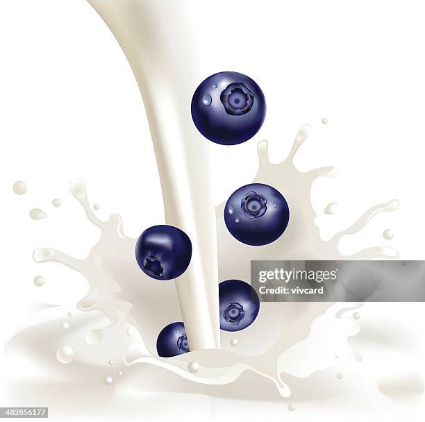 blueberries and cream - cream stock illustrations