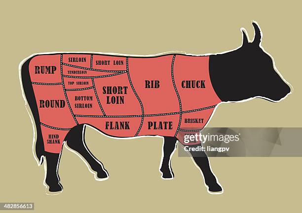 beef cuts - tenderloin stock illustrations