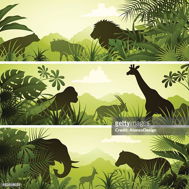 afrikanischer banner - animals in the wild stock-grafiken, -clipart, -cartoons und -symbole